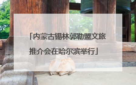 内蒙古锡林郭勒盟文旅推介会在哈尔滨举行