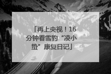 再上央视！16分钟看雪豹“凌小蛰”康复日记