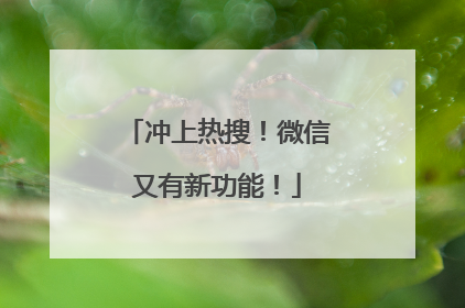冲上热搜！微信又有新功能！