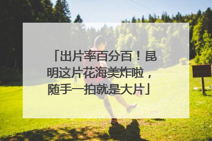 出片率百分百！昆明这片花海美炸啦，随手一拍就是大片