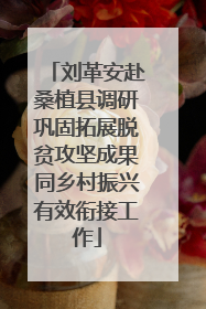 刘革安赴桑植县调研巩固拓展脱贫攻坚成果同乡村振兴有效衔接工作