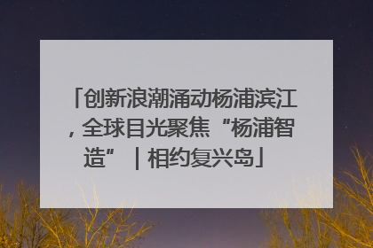 创新浪潮涌动杨浦滨江，全球目光聚焦“杨浦智造”｜相约复兴岛
