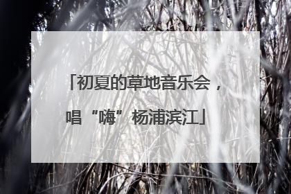 初夏的草地音乐会，唱“嗨”杨浦滨江
