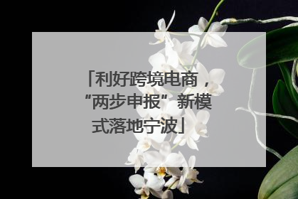 利好跨境电商，“两步申报”新模式落地宁波
