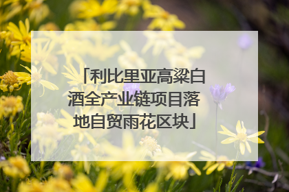 利比里亚高粱白酒全产业链项目落地自贸雨花区块