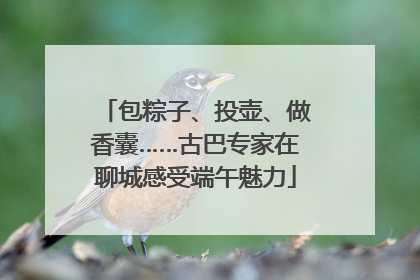 包粽子、投壶、做香囊……古巴专家在聊城感受端午魅力