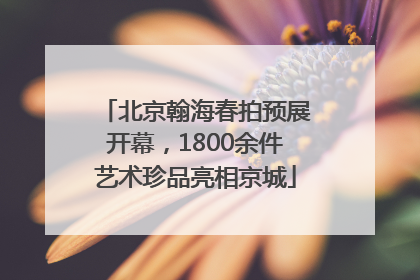 北京翰海春拍预展开幕，1800余件艺术珍品亮相京城