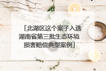 北湖区这个案子入选湖南省第三批生态环境损害赔偿典型案例