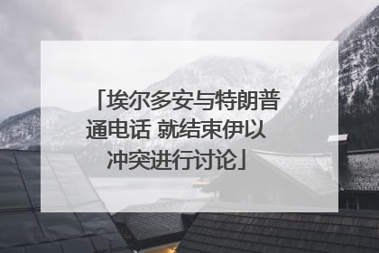 埃尔多安与特朗普通电话 就结束伊以冲突进行讨论