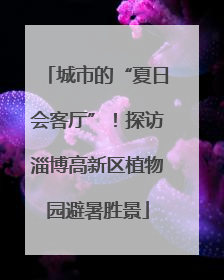 城市的“夏日会客厅”！探访淄博高新区植物园避暑胜景