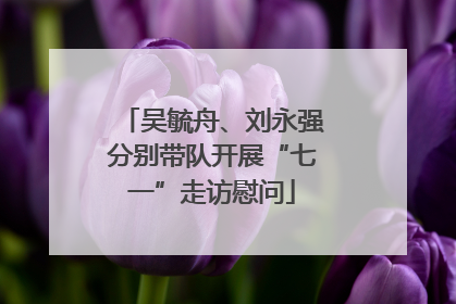 吴毓舟、刘永强分别带队开展“七一”走访慰问