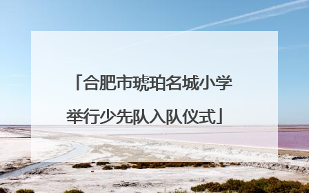 合肥市琥珀名城小学举行少先队入队仪式