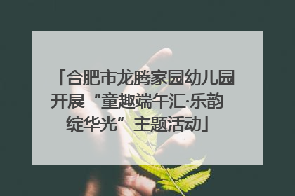 合肥市龙腾家园幼儿园开展“童趣端午汇·乐韵绽华光”主题活动