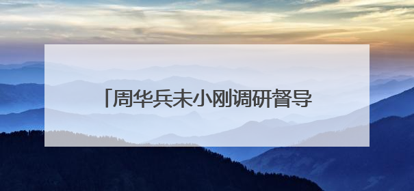 周华兵未小刚调研督导重点项目建设（图）