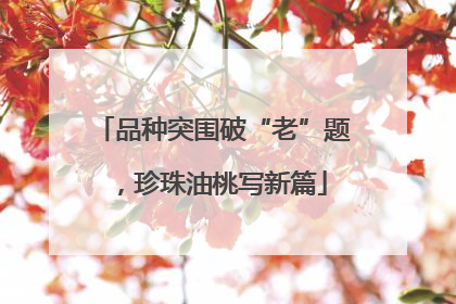品种突围破“老”题，珍珠油桃写新篇