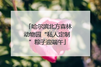 哈尔滨北方森林动物园“私人定制”粽子迎端午