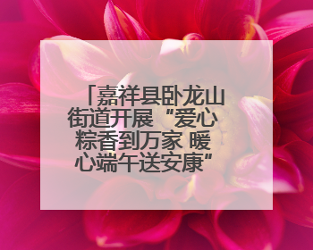嘉祥县卧龙山街道开展“爱心粽香到万家 暖心端午送安康” “五为”志愿服务活动