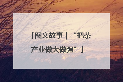 图文故事｜“把茶产业做大做强”
