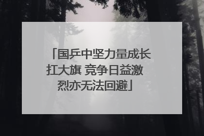 国乒中坚力量成长扛大旗 竞争日益激烈亦无法回避