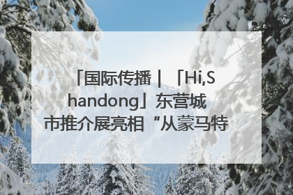 国际传播｜「Hi,Shandong」东营城市推介展亮相“从蒙马特到加里波第”文化节