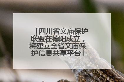 四川省文庙保护联盟在德阳成立，将建立全省文庙保护信息共享平台