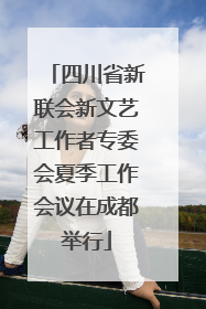 四川省新联会新文艺工作者专委会夏季工作会议在成都举行
