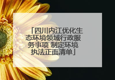 四川内江优化生态环境领域行政服务事项 制定环境执法正面清单