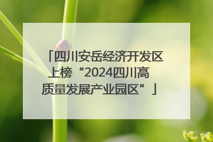 四川安岳经济开发区上榜“2024四川高质量发展产业园区”
