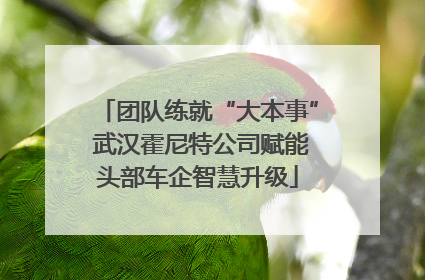 团队练就“大本事” 武汉霍尼特公司赋能头部车企智慧升级
