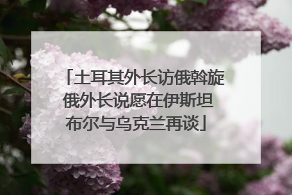 土耳其外长访俄斡旋 俄外长说愿在伊斯坦布尔与乌克兰再谈