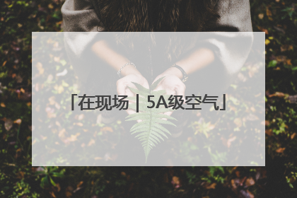 在现场｜5A级空气
