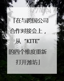 在与跨国公司合作对接会上，从“KITE”的四个维度重新打开潍坊