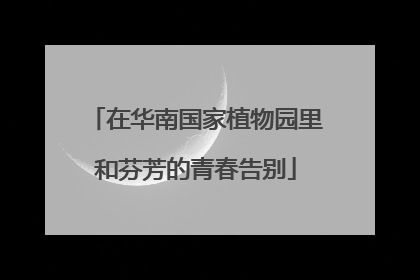 在华南国家植物园里和芬芳的青春告别