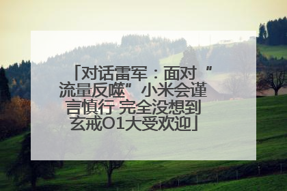对话雷军：面对“流量反噬”小米会谨言慎行 完全没想到玄戒O1大受欢迎