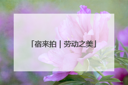 宿来拍｜劳动之美