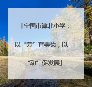宁国市津北小学：以“劳”育美德，以“动”促发展