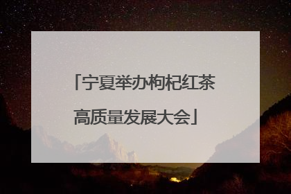 宁夏举办枸杞红茶高质量发展大会
