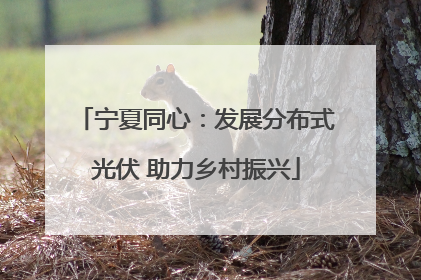 宁夏同心：发展分布式光伏 助力乡村振兴