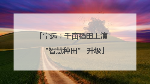 宁远：千亩稻田上演 “智慧种田” 升级