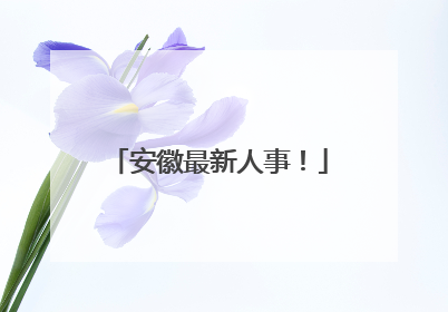 安徽最新人事！