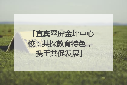 宜宾翠屏金坪中心校：共探教育特色，携手共促发展