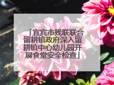 宜宾市残联联合留耕镇政府深入留耕镇中心幼儿园开展食堂安全检查