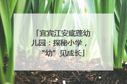 宜宾江安底蓬幼儿园：探秘小学，“幼”见成长