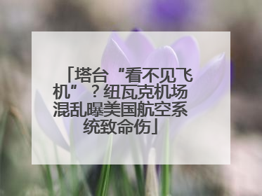 塔台“看不见飞机”？纽瓦克机场混乱曝美国航空系统致命伤
