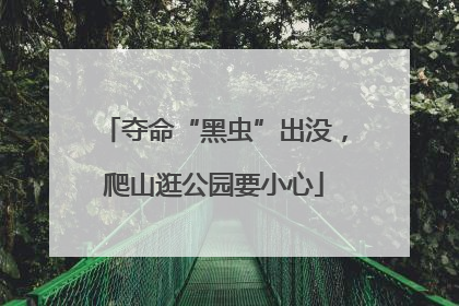 夺命“黑虫”出没，爬山逛公园要小心