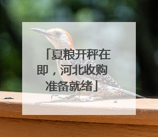 夏粮开秤在即，河北收购准备就绪