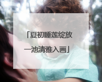 夏初睡莲绽放 一池清雅入画