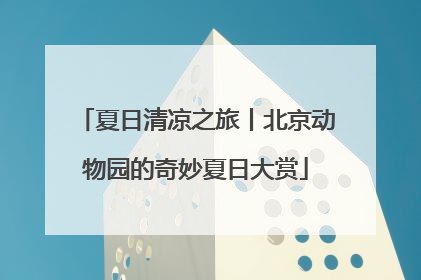 夏日清凉之旅丨北京动物园的奇妙夏日大赏