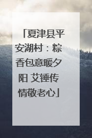 夏津县平安湖村：粽香包意暖夕阳 艾锤传情敬老心