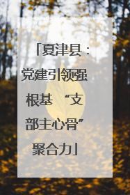 夏津县：党建引领强根基 “支部主心骨”聚合力